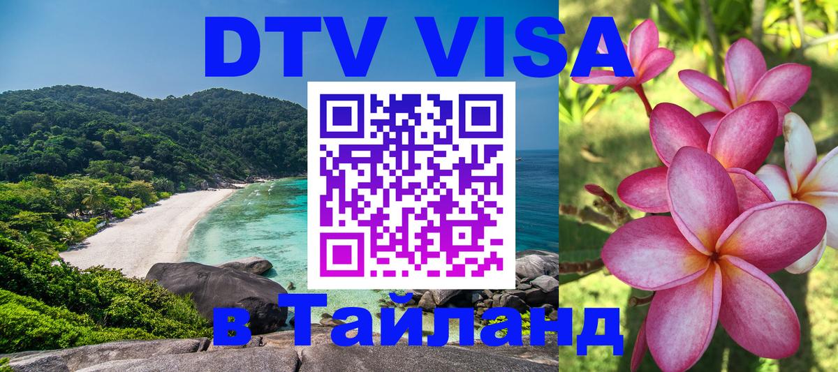 Оформление DTV визы под ключ: стоимость и тарифы, только загранпаспорт - Салават  19.11.2025 