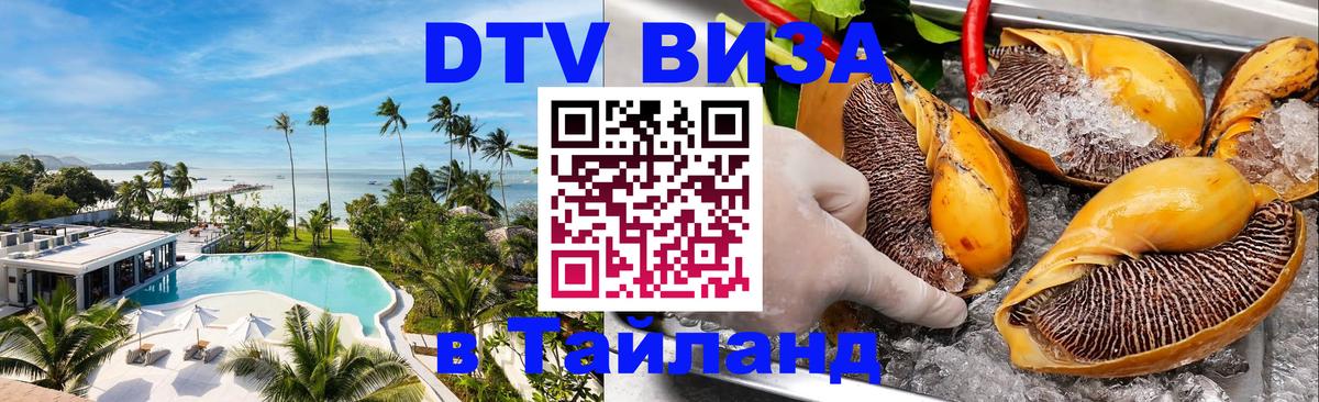 Сколько стоит DTV виза — актуальные цены, оформление даже без документов - 03.10.2025 